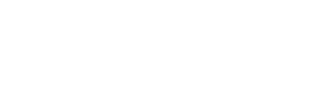 SPEEFLEX